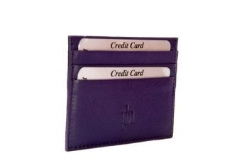 Credit Card Holder