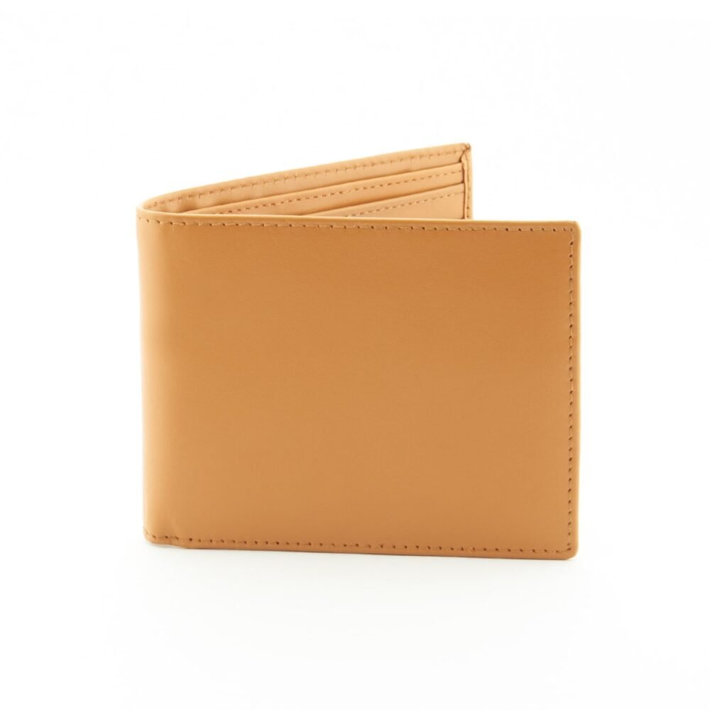 Regular Billfold Leather Wallet-6cc